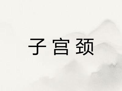 子宫颈 子宫颈