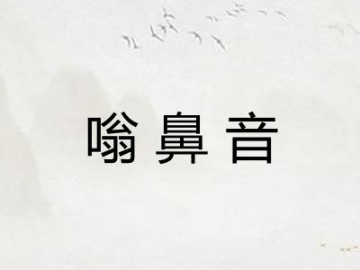 嗡鼻音 嗡鼻音
