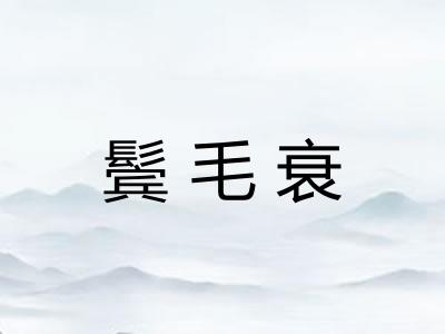 鬓毛衰 鬓毛衰