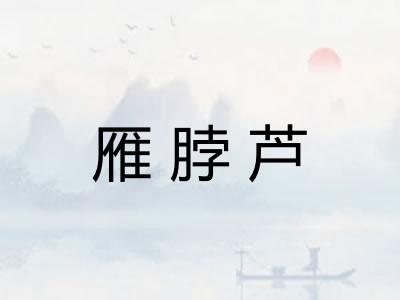 雁脖芦