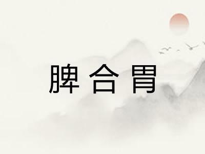 脾合胃 脾合胃