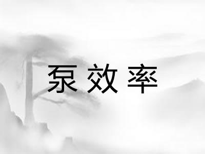 泵效率 泵效率