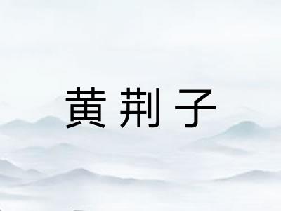 黄荆子