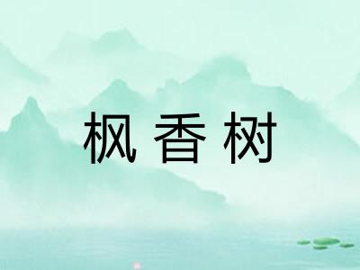 枫香树 枫香树