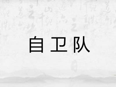 自卫队 自卫队