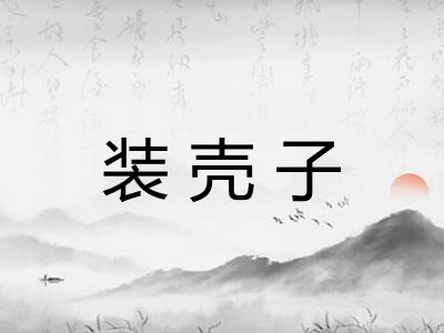 装壳子 装壳子