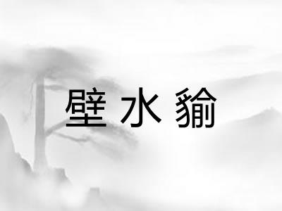 壁水貐 壁水貐