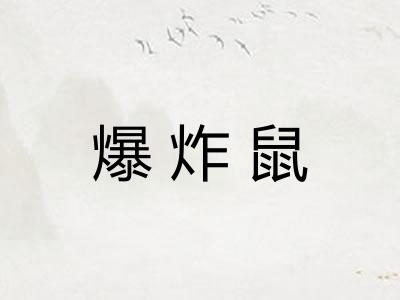 爆炸鼠 爆炸鼠