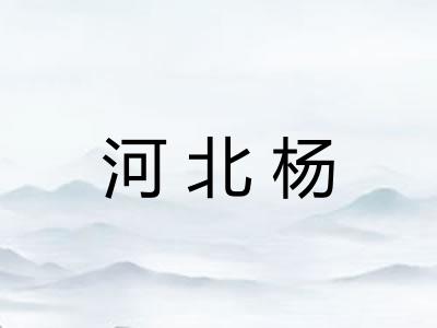 河北杨 河北杨