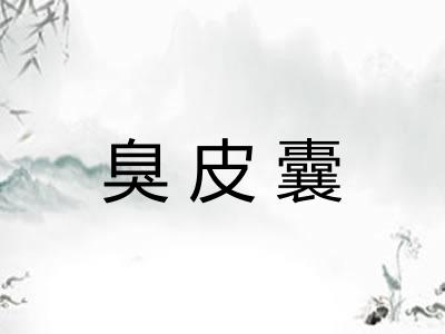 臭皮囊 臭皮囊
