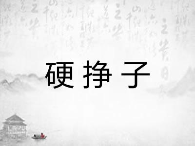 硬挣子