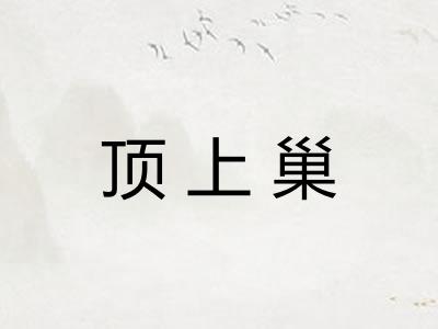 顶上巢 顶上巢