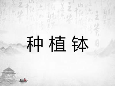 种植钵 种植钵