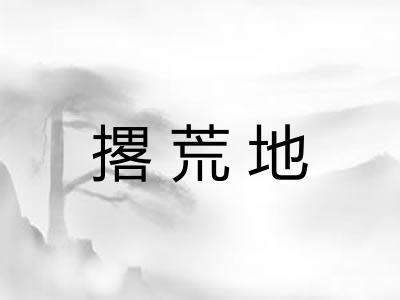 撂荒地 撂荒地
