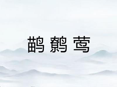 鹋鹩莺 鹋鹩莺