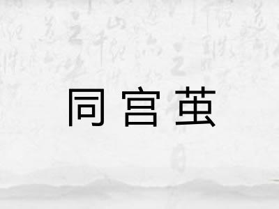 同宫茧 同宫茧