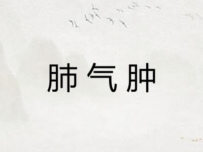 肺气肿 肺气肿