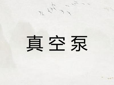 真空泵