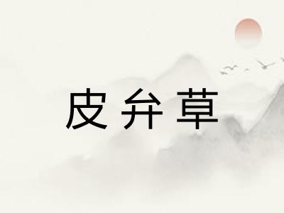 皮弁草 皮弁草
