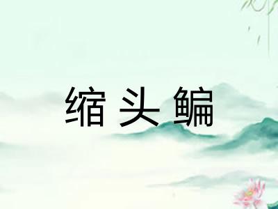 缩头鳊 缩头鳊