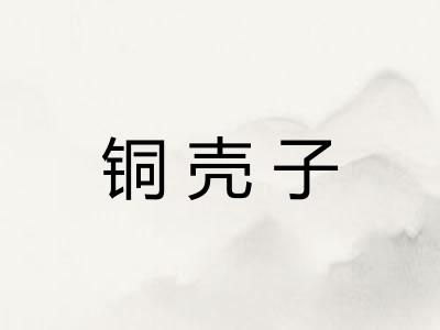 铜壳子