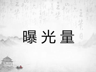 曝光量