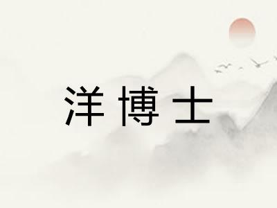 洋博士 洋博士