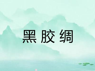 黑胶绸
