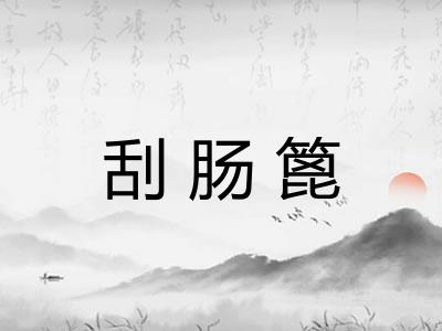刮肠篦 刮肠篦