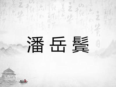 潘岳鬓 潘岳鬓