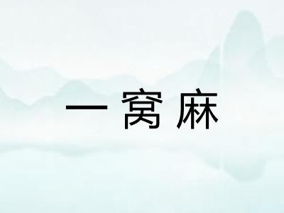 一窝麻 一窝麻