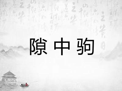 隙中驹 隙中驹