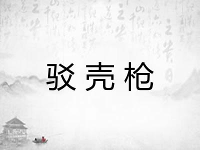 驳壳枪 驳壳枪
