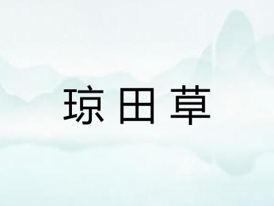 琼田草 琼田草