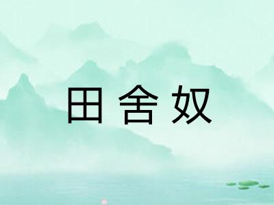 田舍奴 田舍奴