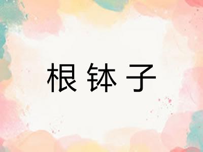 根钵子 根钵子
