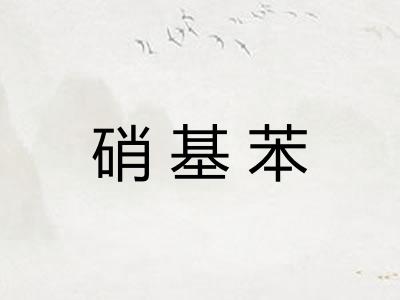 硝基苯 硝基苯
