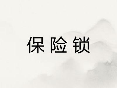 保险锁 保险锁