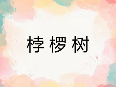 桲椤树