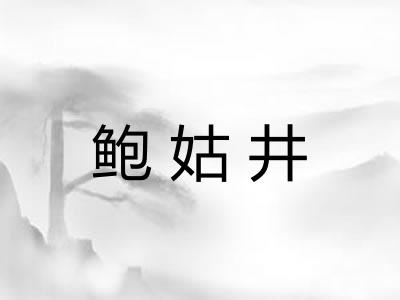 鲍姑井 鲍姑井
