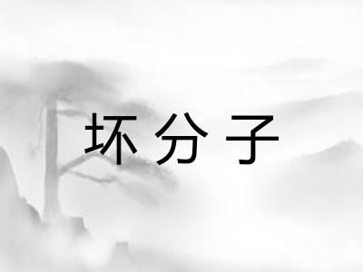 坏分子