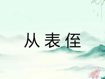 从表侄 从表侄
