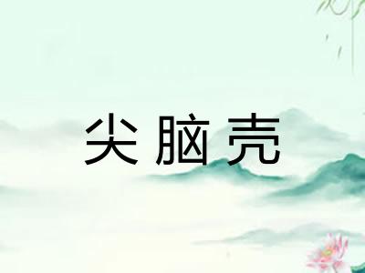 尖脑壳 尖脑壳