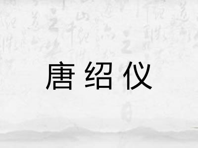唐绍仪 唐绍仪