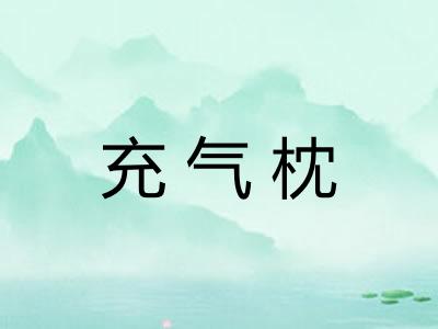 充气枕 充气枕