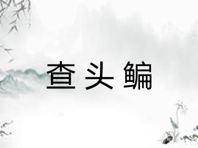 查头鳊 查头鳊