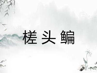 槎头鳊 槎头鳊