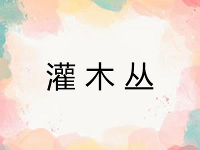 灌木丛 灌木丛