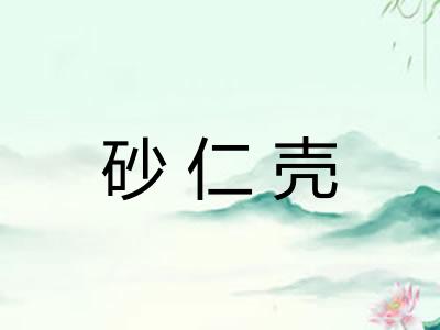 砂仁壳 砂仁壳