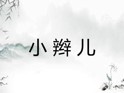 小辫儿